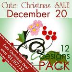 December 20